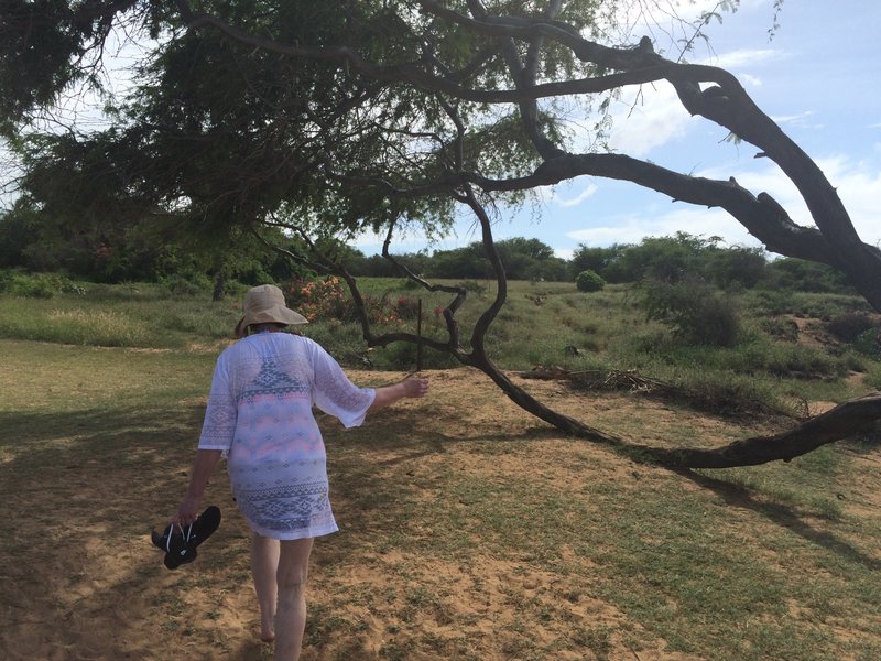 Rebecca Tennison Sparks - Photo 8