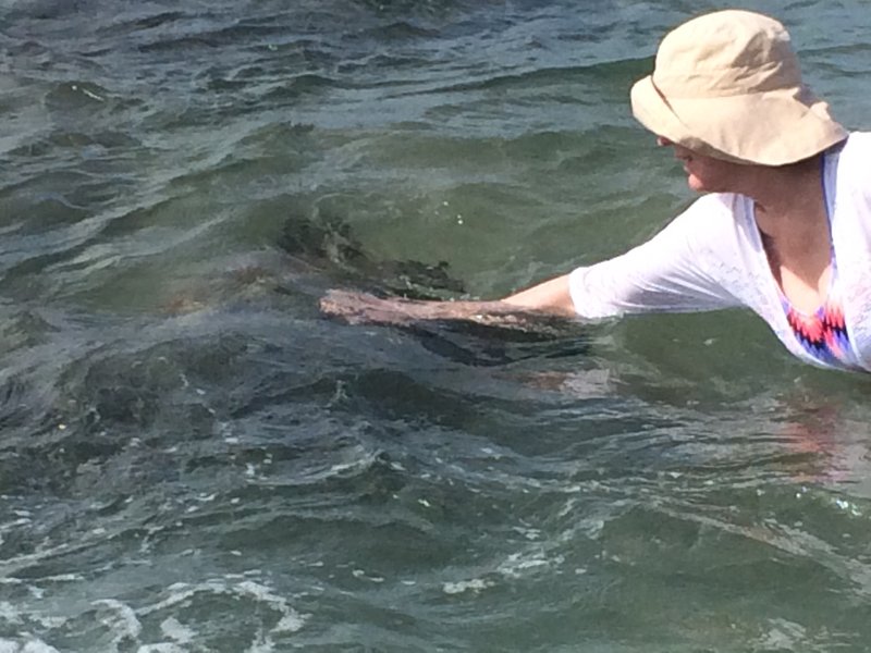 Rebecca Tennison Sparks - Photo 17