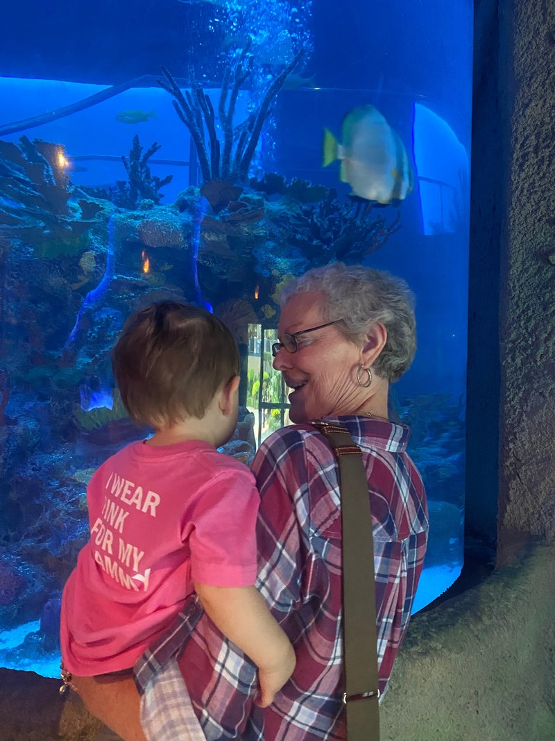 Rebecca Tennison Sparks - Photo 55