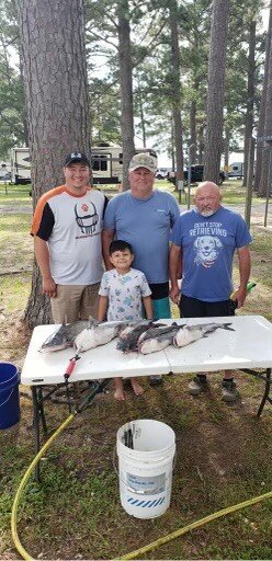 Gerald Frank Rach - Photo 71