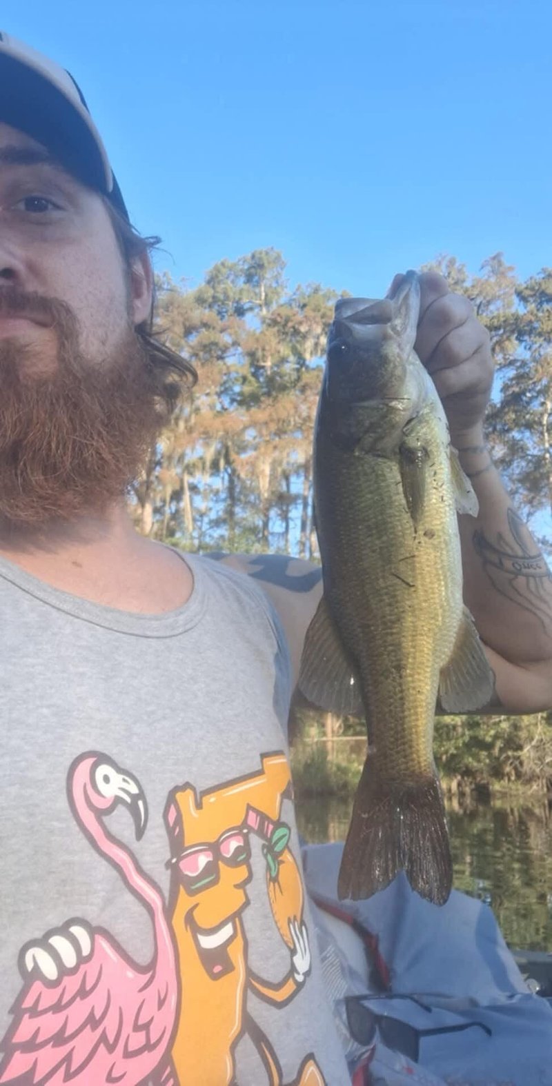 Christopher Wynn Bilbo - Photo 24