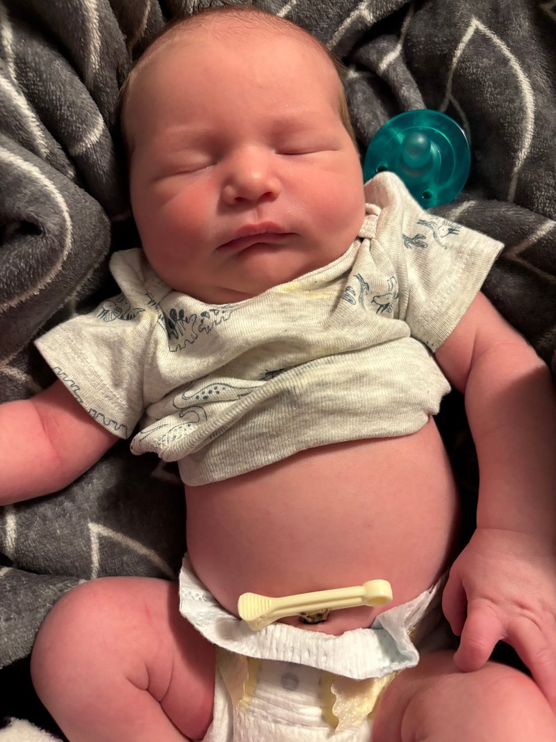 Oliver Wayne Fox - Photo 4