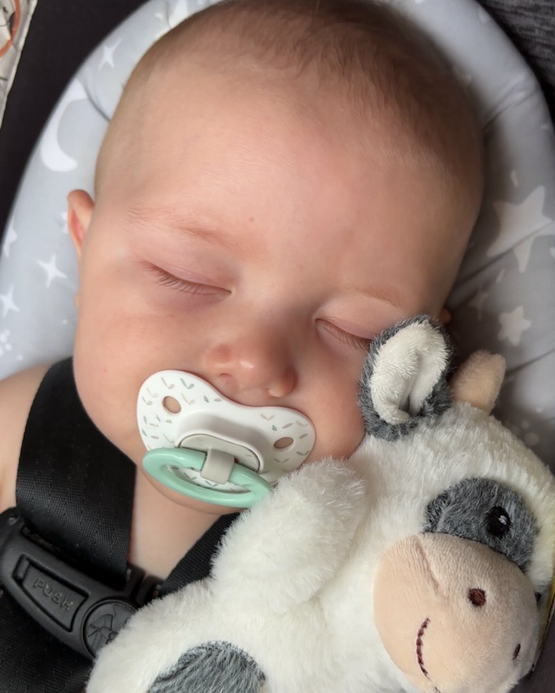 Oliver Wayne Fox - Photo 6