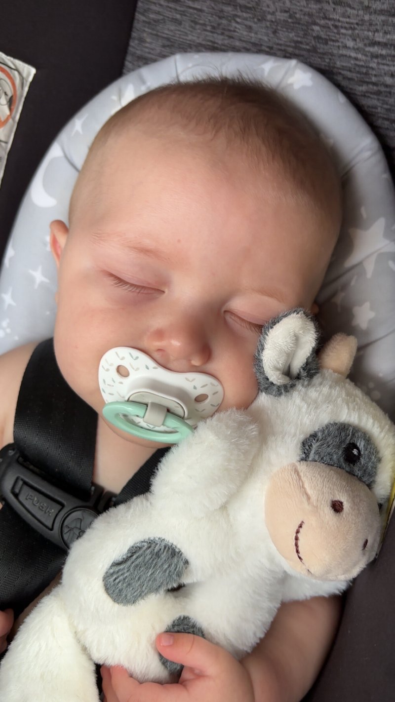 Oliver Wayne Fox - Photo 9