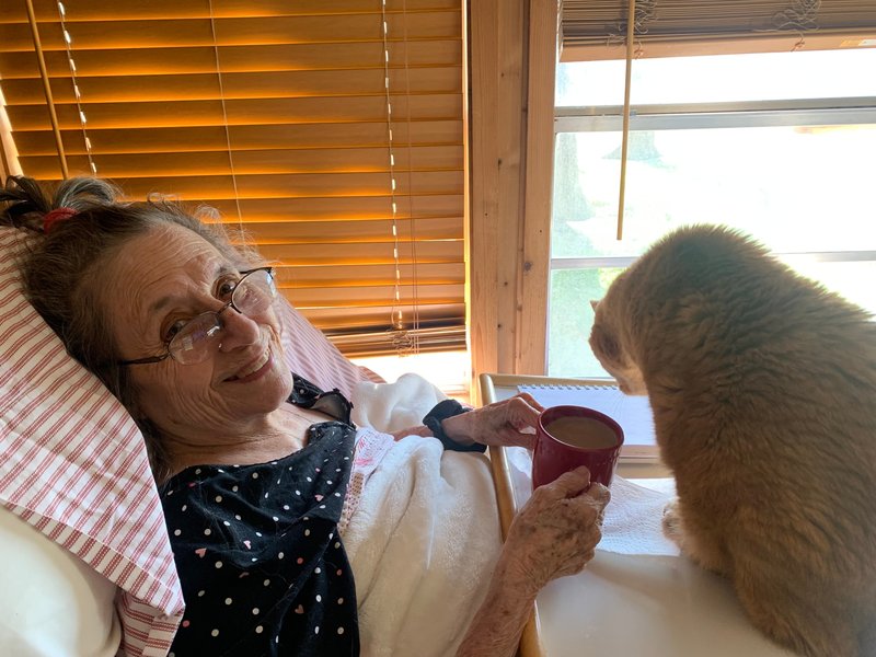 Pat Walton - Photo 3