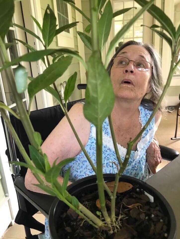 Pat Walton - Photo 20