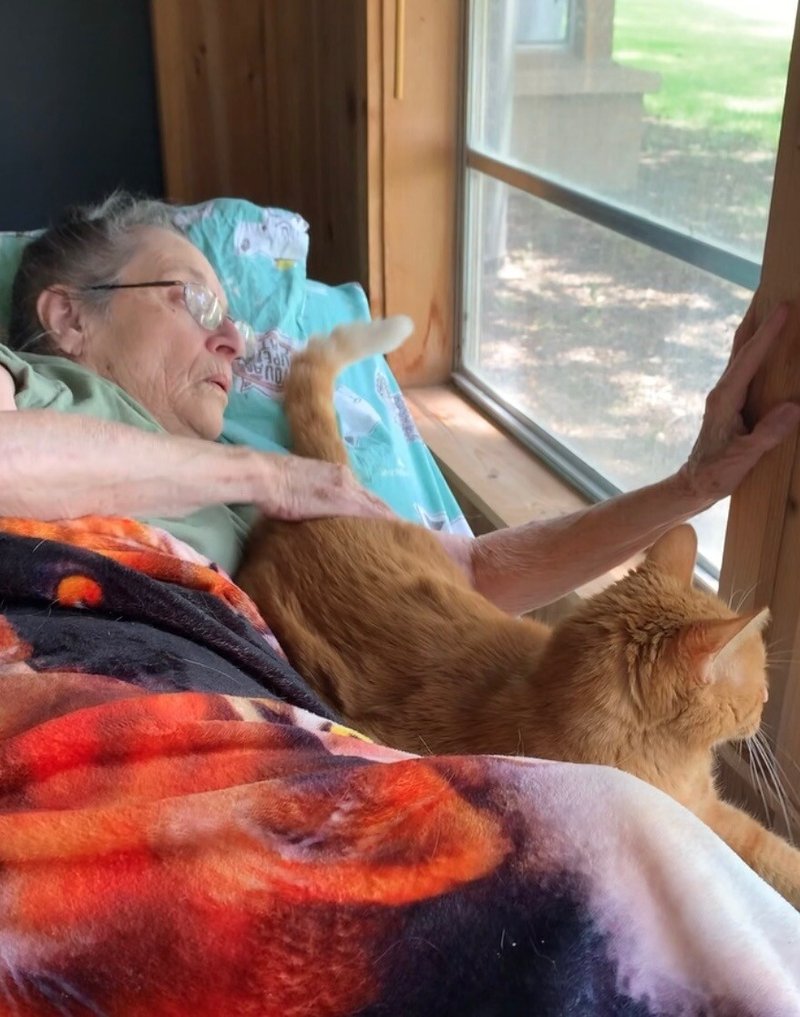 Pat Walton - Photo 36