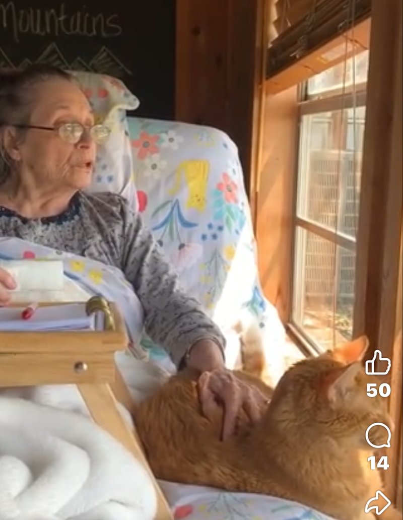 Pat Walton - Photo 88