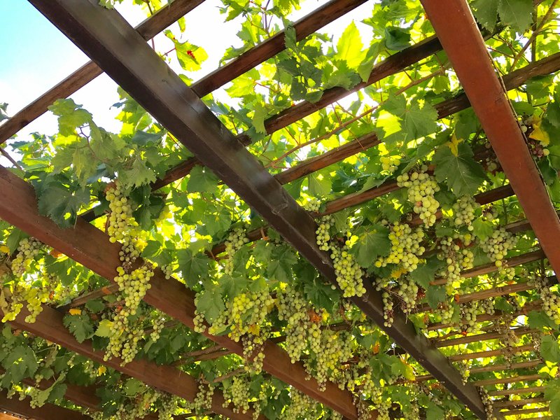 Leah Rea Johansson - Photo 18