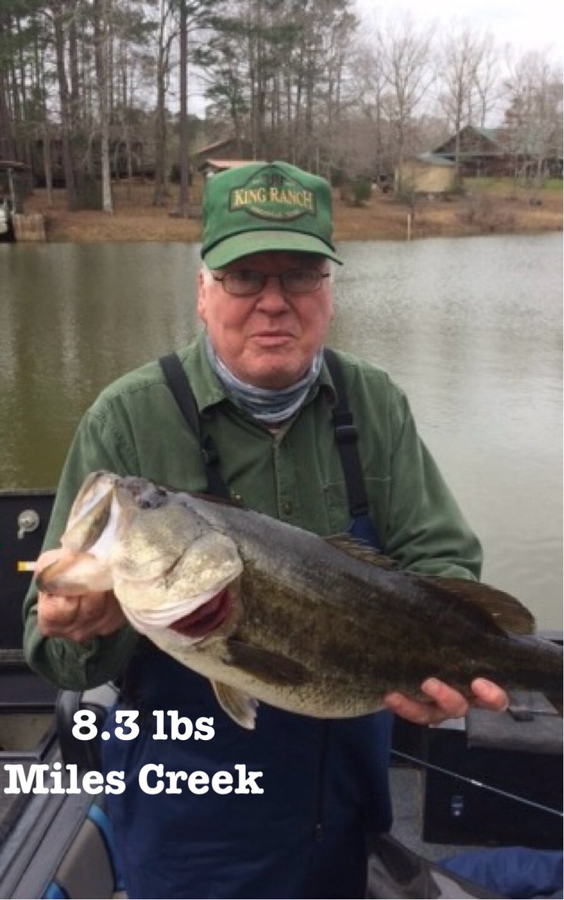 Charles Elliott Atkinson - Photo 100