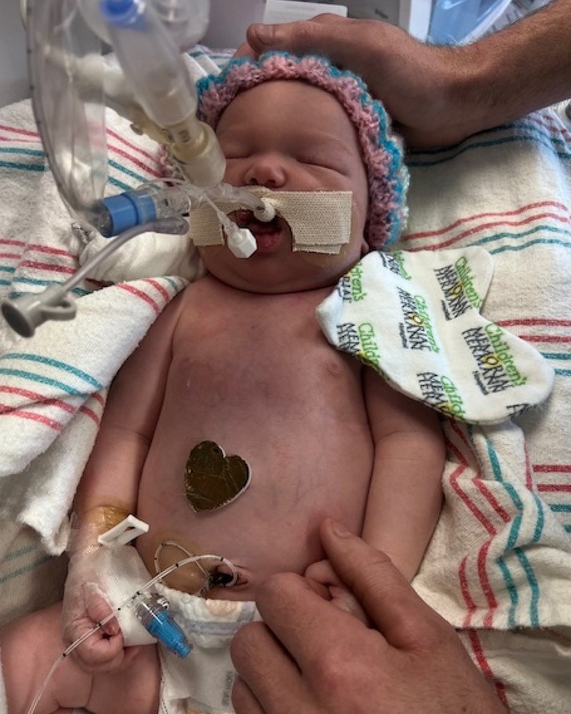 Lily James Thibodeaux