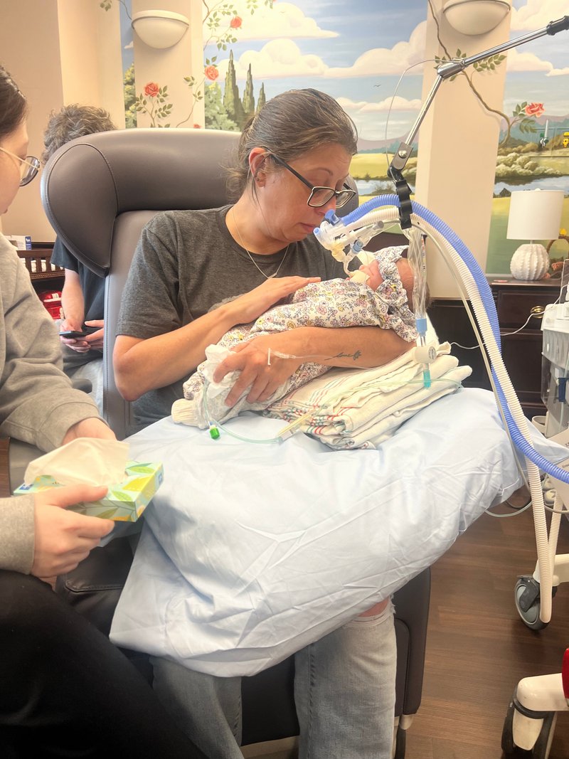 Lily James Thibodeaux - Photo 8