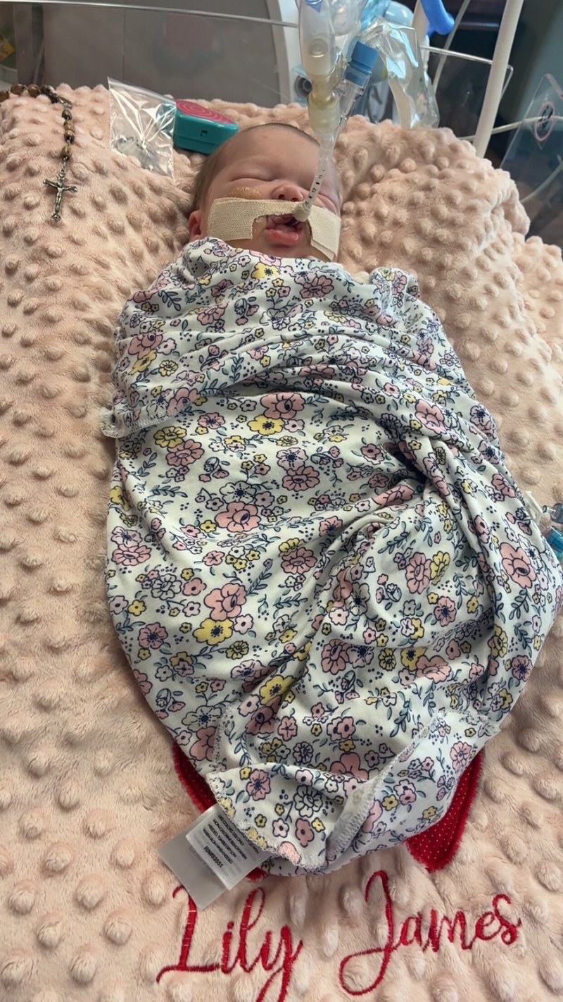 Lily James Thibodeaux - Photo 39