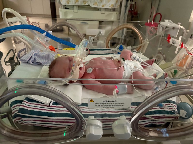 Lily James Thibodeaux - Photo 35