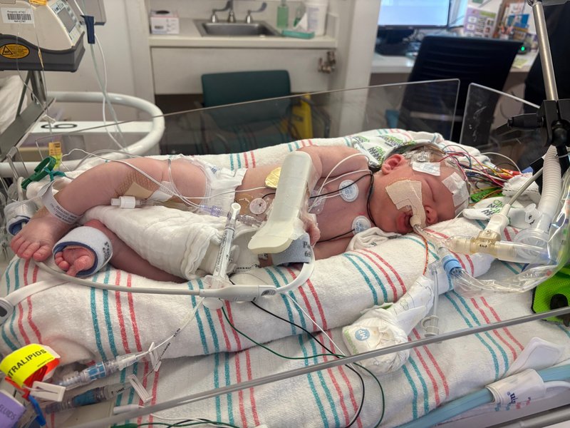 Lily James Thibodeaux - Photo 49