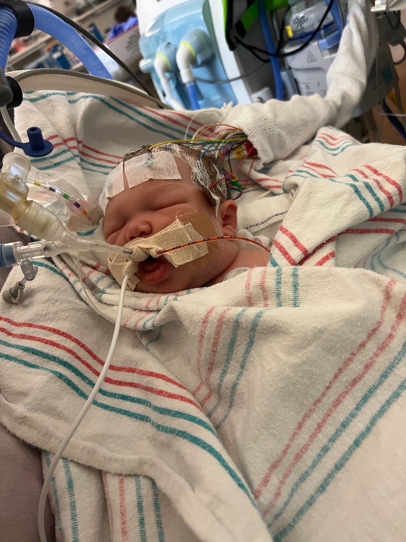 Lily James Thibodeaux - Photo 55