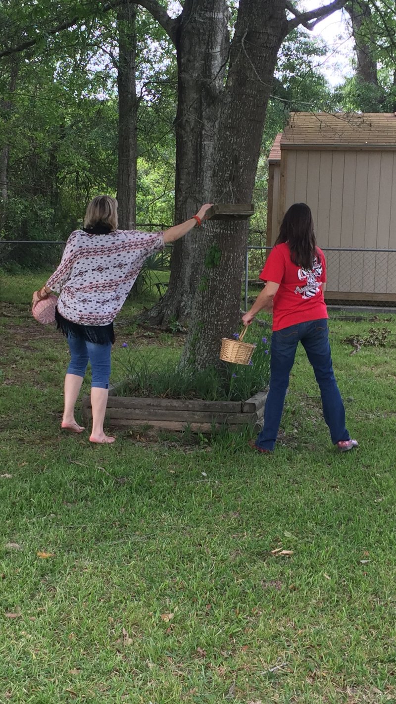 Susan Lynn Cannon - Photo 168