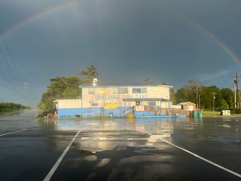 Sonya René LeBlanc - Photo 58