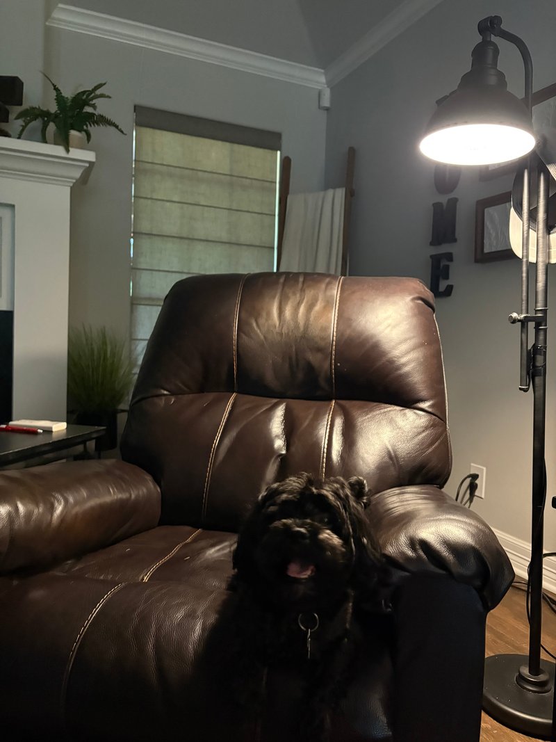 Donald Foy Freeman - Photo 197