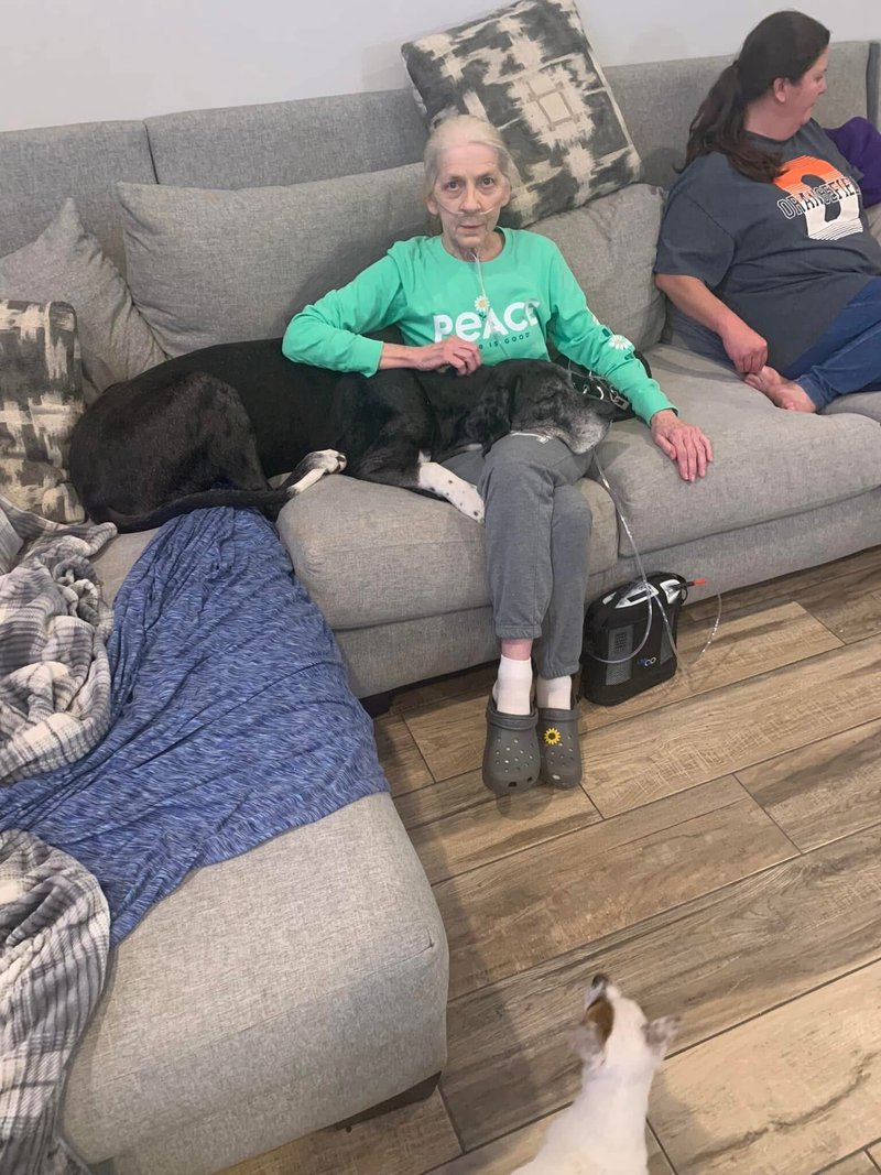 Janelle Boyd - Photo 4