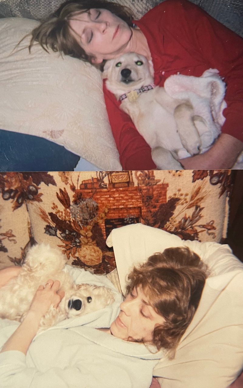 Janelle Boyd - Photo 18