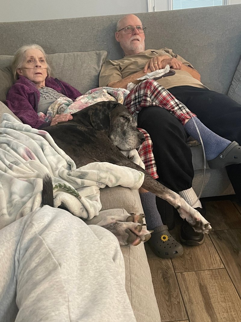 Janelle Boyd - Photo 53