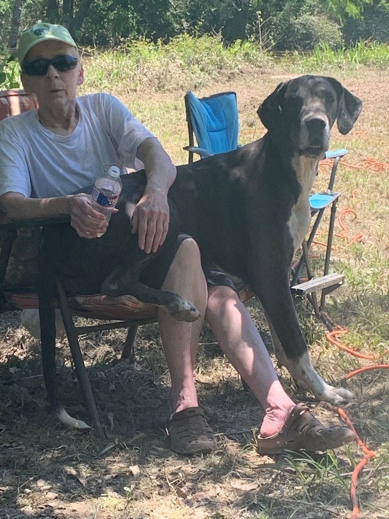 Janelle Boyd - Photo 60