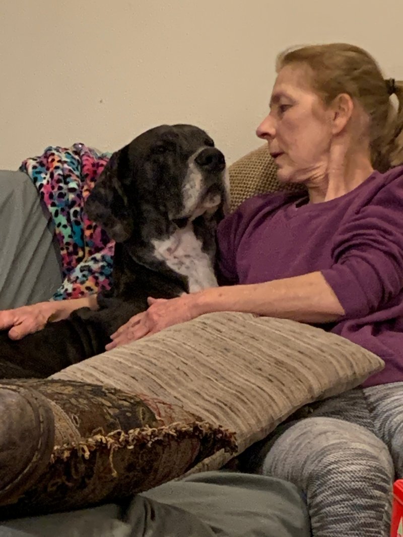 Janelle Boyd - Photo 64