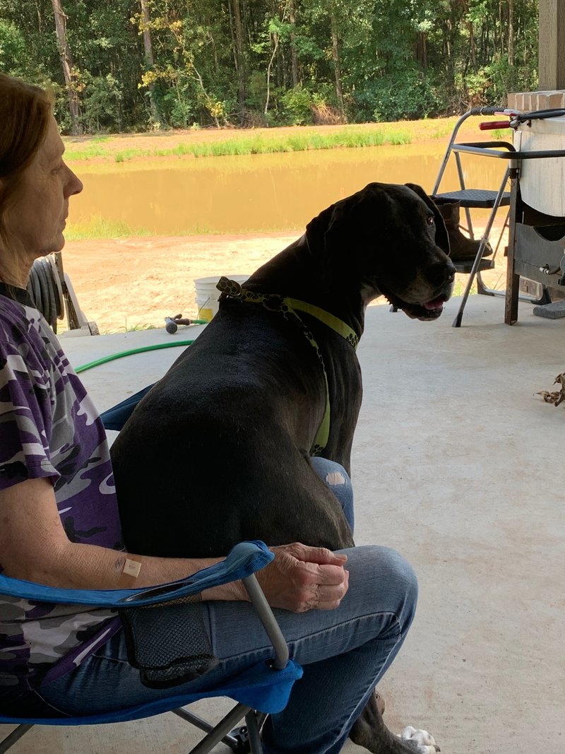 Janelle Boyd - Photo 66