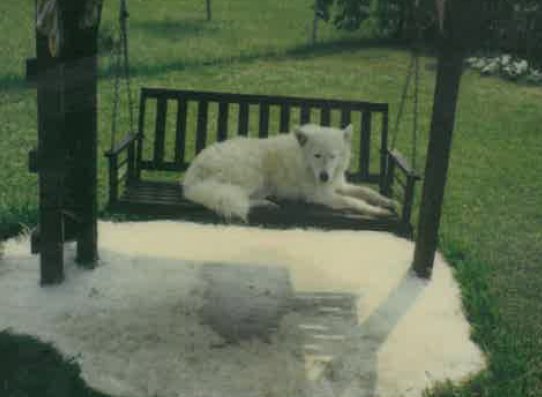 Horace James Cormier - Photo 37