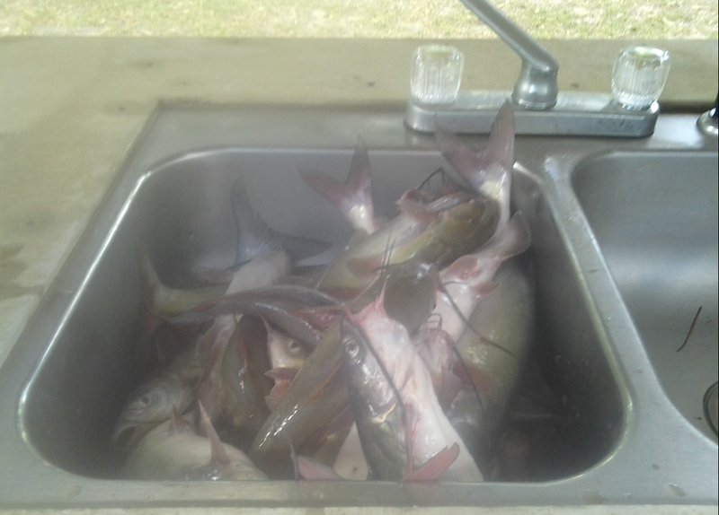 Kurt Stephen Wolford - Photo 20