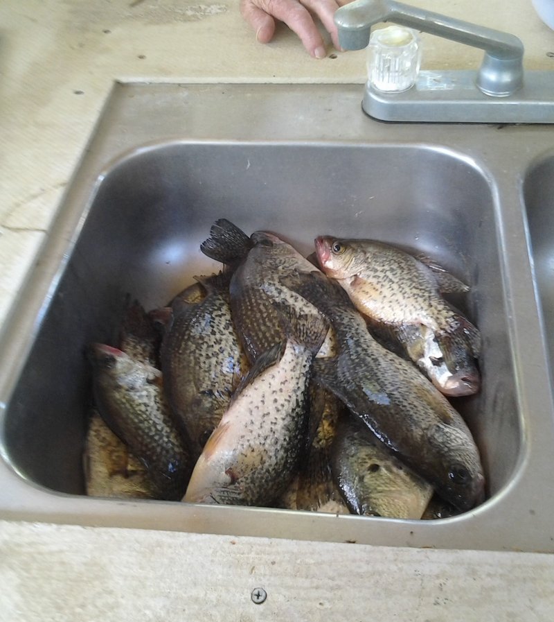 Kurt Stephen Wolford - Photo 36