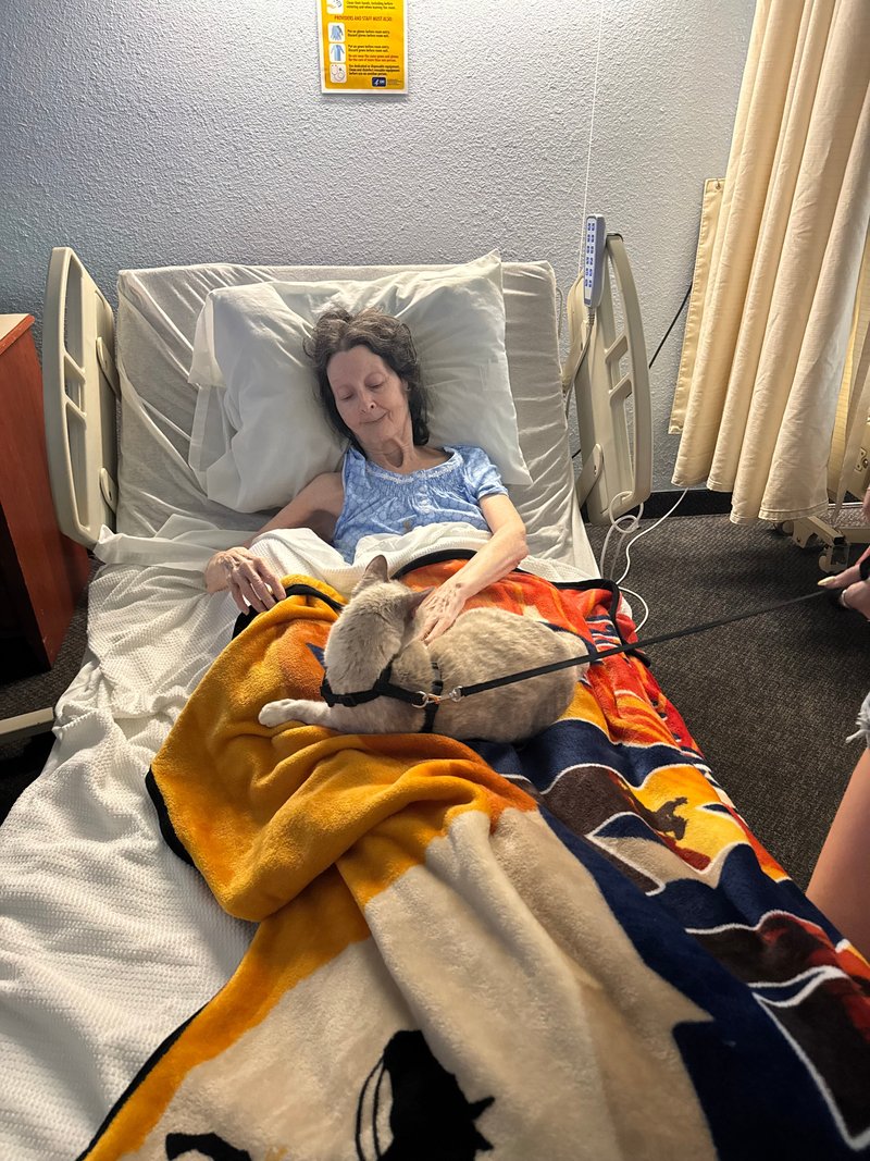 Charlotte Ilene Petry - Photo 36