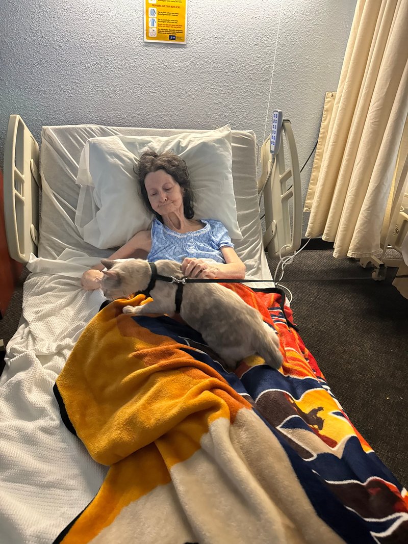 Charlotte Ilene Petry - Photo 37