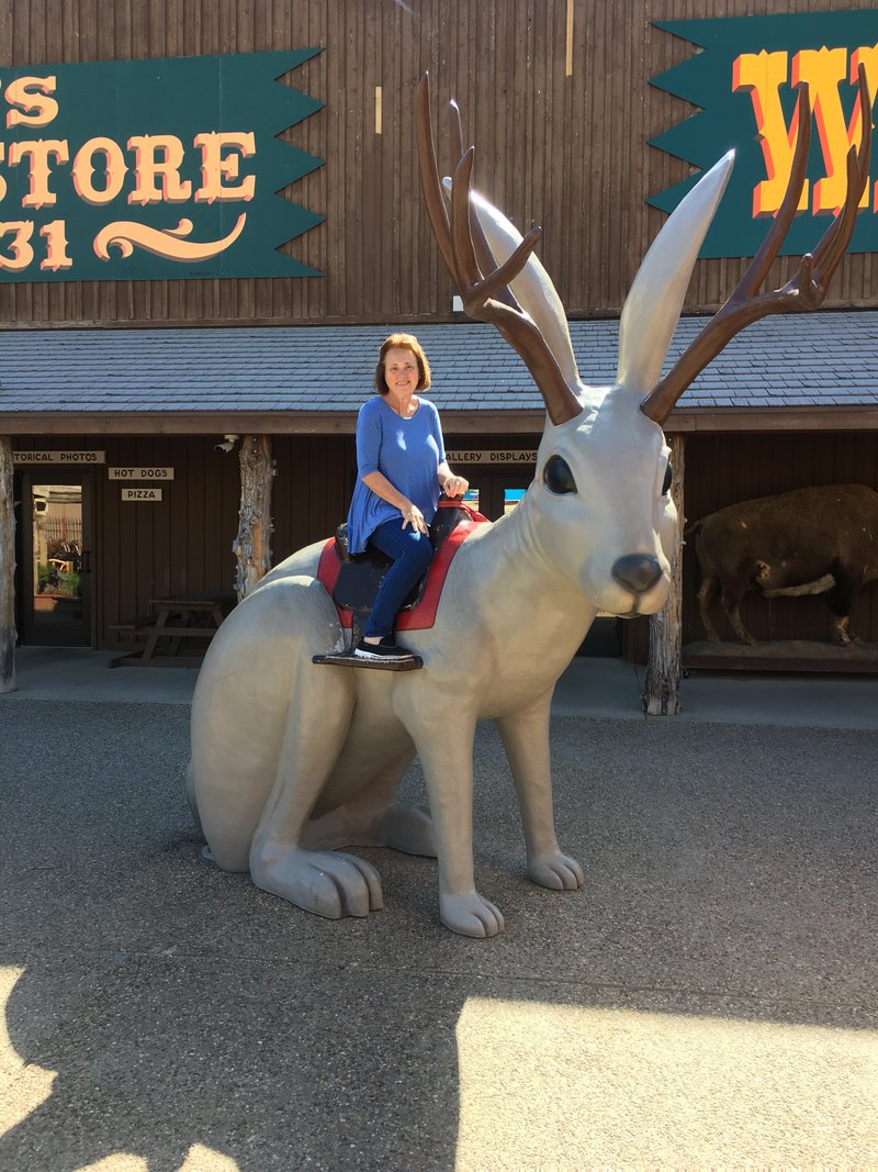 Debra Kay "Debbie" Townsend - Photo 13