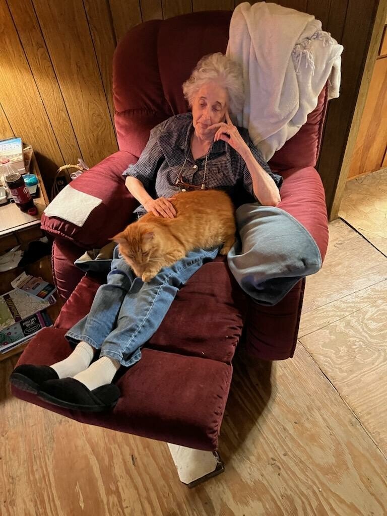 Shirlee Nimitz Guice - Photo 47