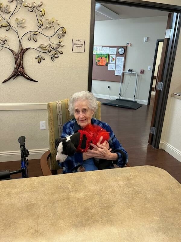 Shirlee Nimitz Guice - Photo 90