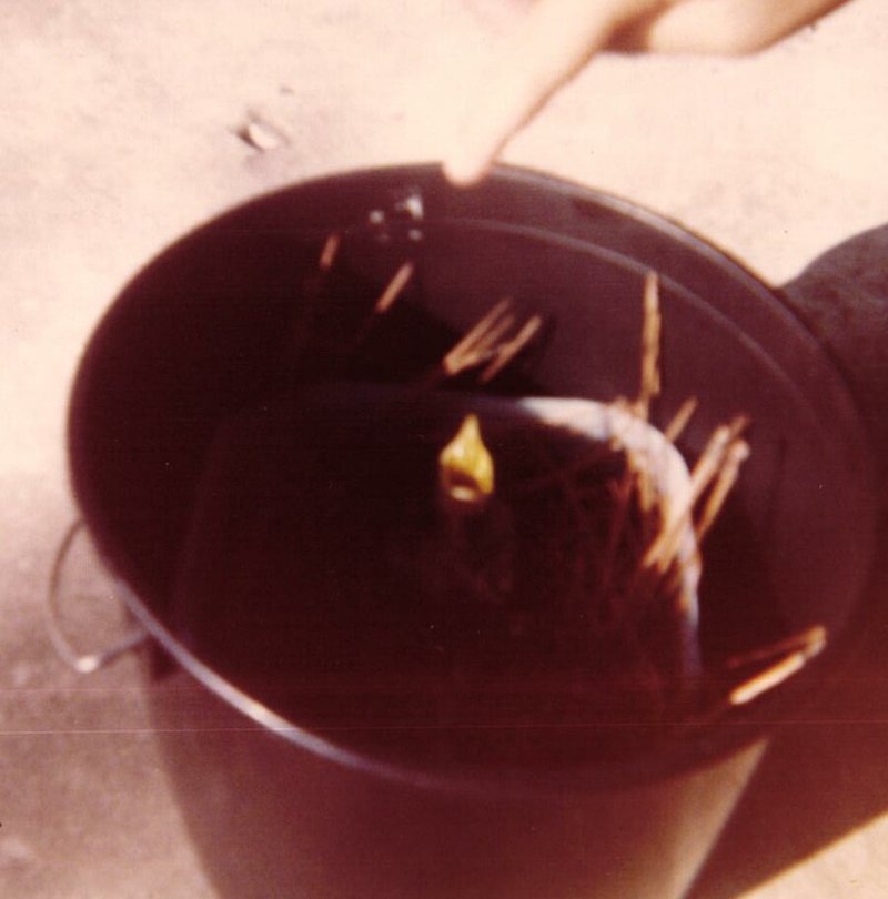 Joyce Victoria Burton - Photo 26