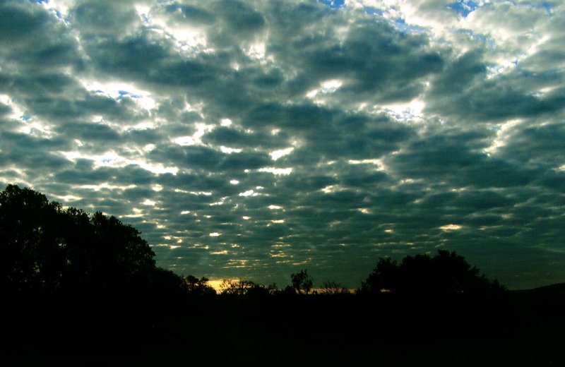 Joyce Victoria Burton - Photo 27