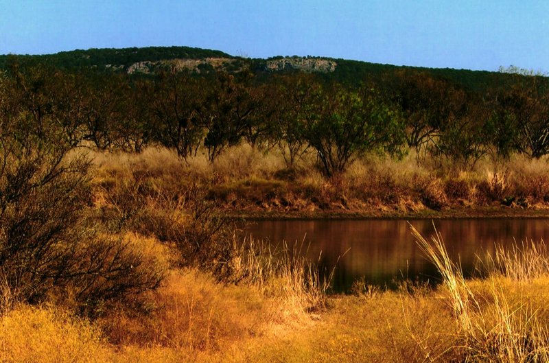 Joyce Victoria Burton - Photo 31