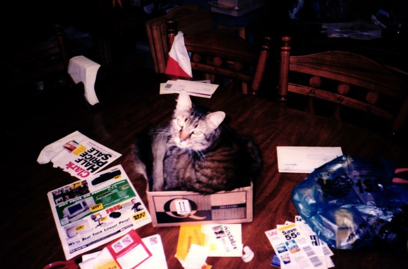 Linda Katherine Thayer - Photo 6