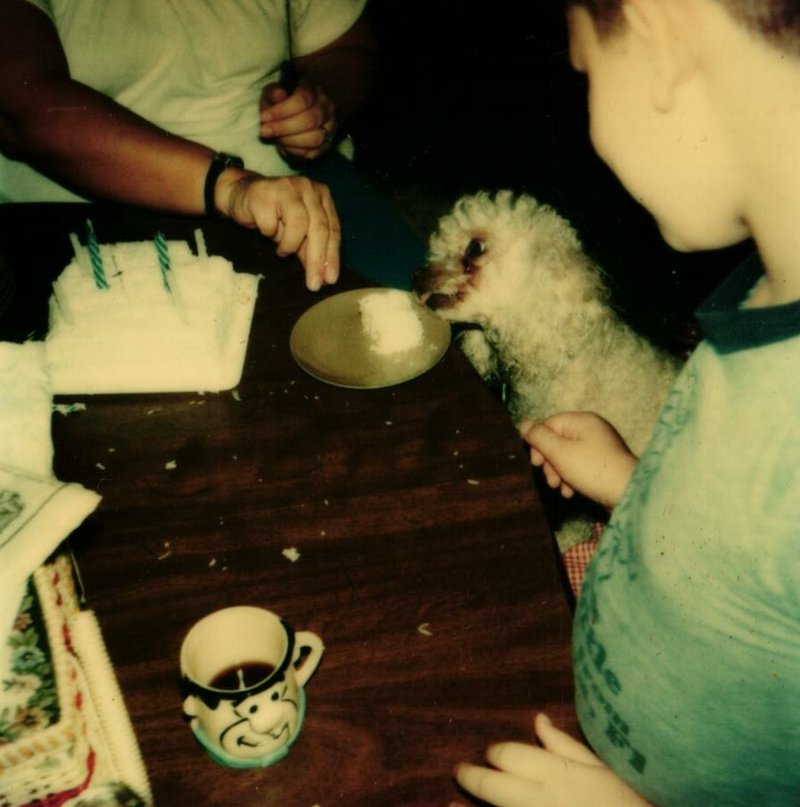 Linda Katherine Thayer - Photo 7