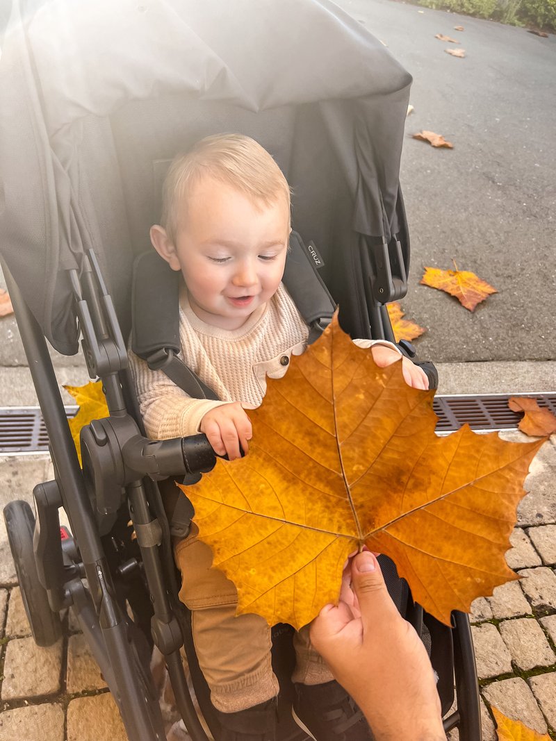 Wade Alexander Schisler - Photo 131