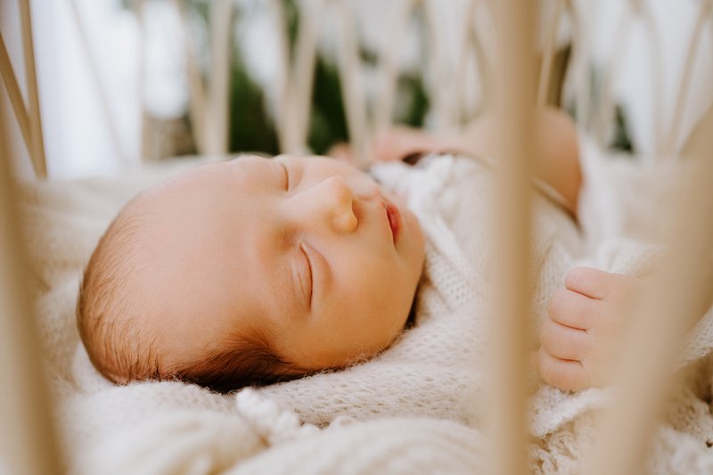 Wade Alexander Schisler - Photo 223