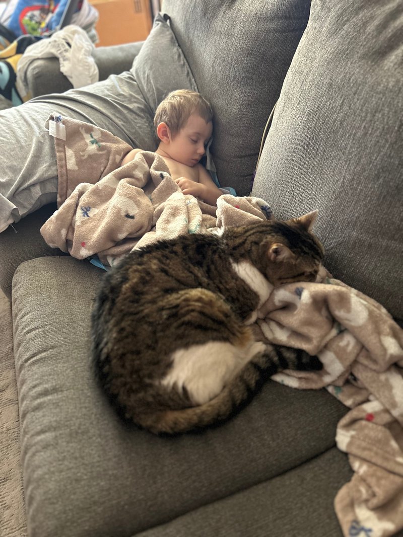 Wade Alexander Schisler - Photo 254