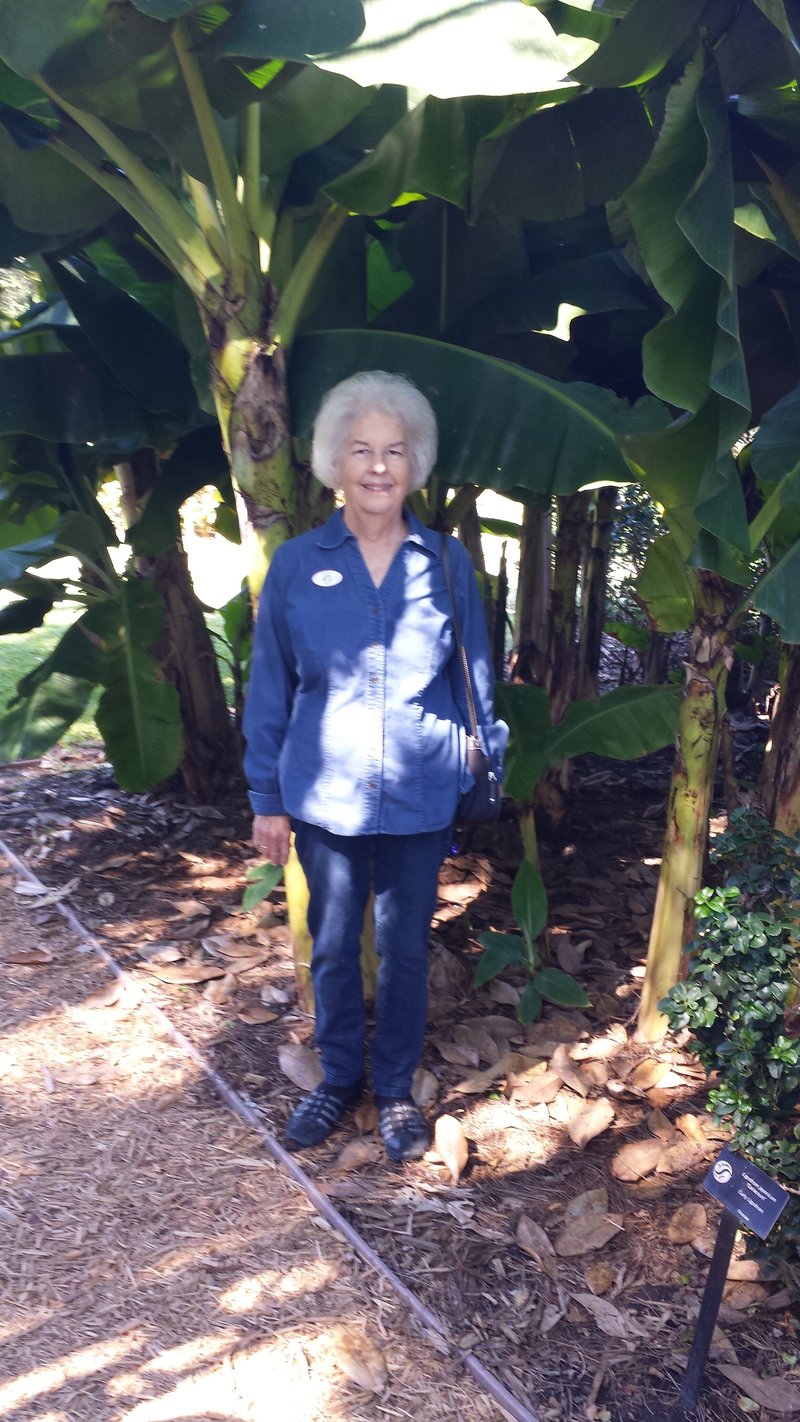 Joyce Elaine Stansbury - Photo 38