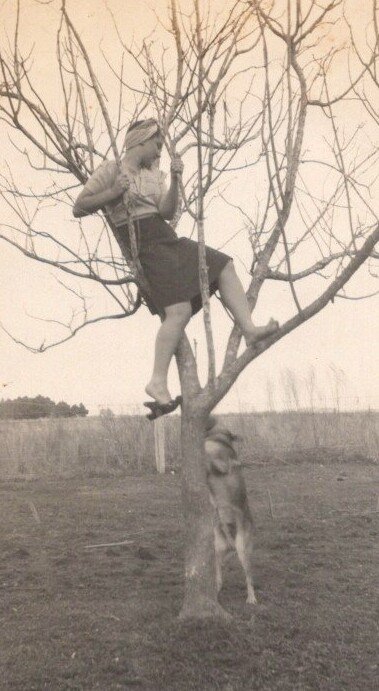 Beulah "Mae" Cormier Dougharty Brown - Photo 247