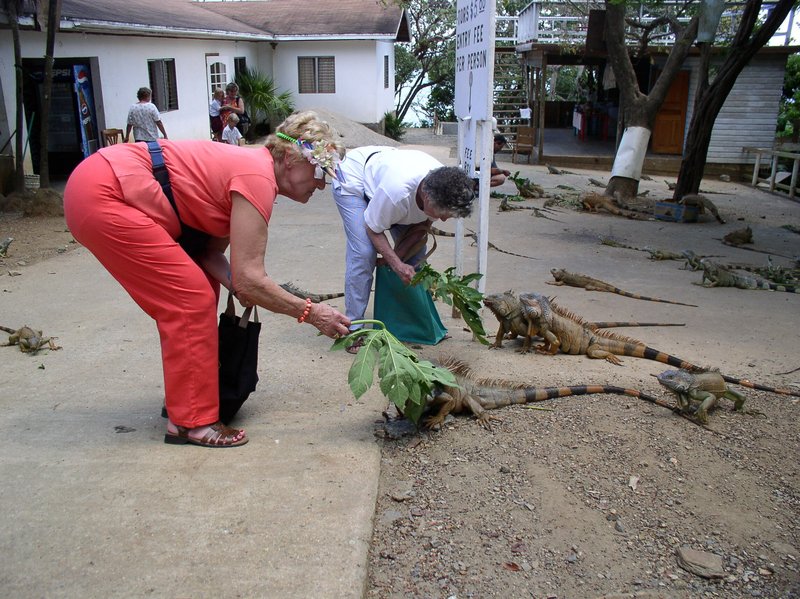 Beulah "Mae" Cormier Dougharty Brown - Photo 281