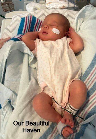 Lisa Marie Brayton Stanley-Granger - Photo 64