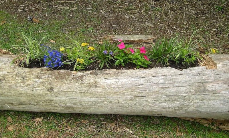 Mary Carolyn Spiers - Photo 10